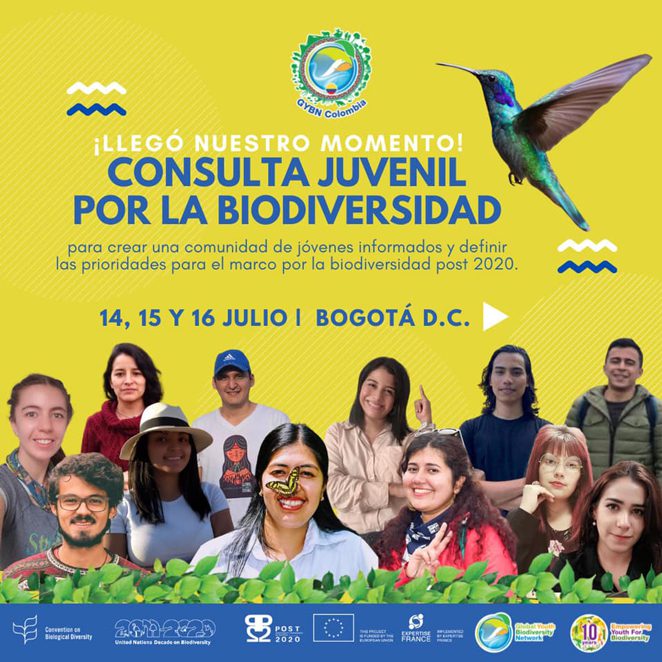 Foto para acompanar el texto 16 Fundación Barranquilla +20 Biodiversidad y Bosques