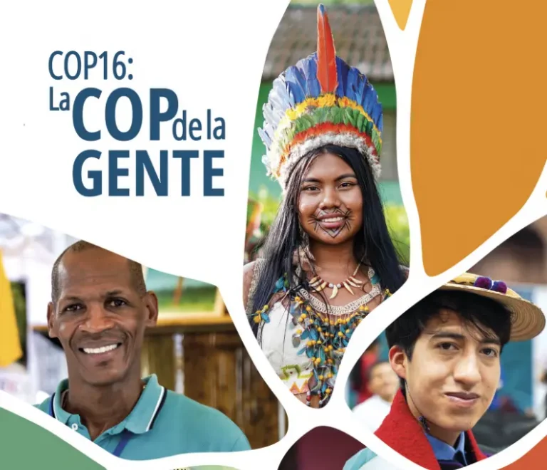 CleanShot 2026 02 24 at 18.49.23 Fundación Barranquilla+20 Investigación y posicionamiento