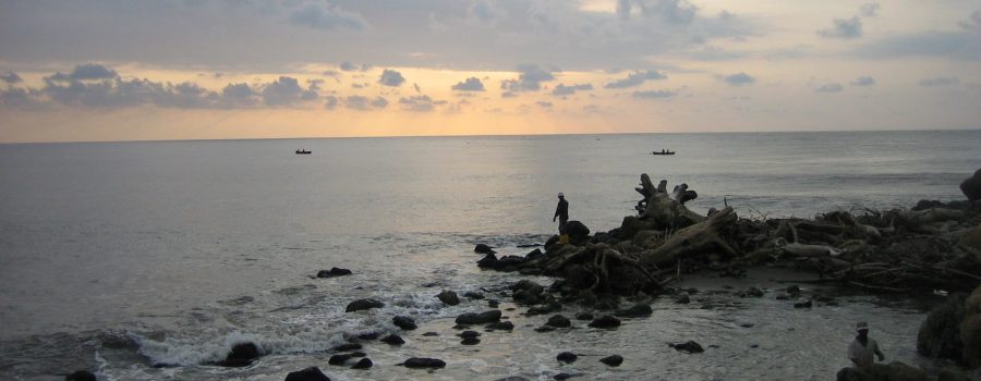 Banner agua y gobernanza