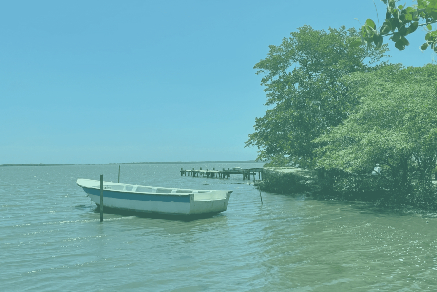 Mallorquin pagina web (764 × 511 px)