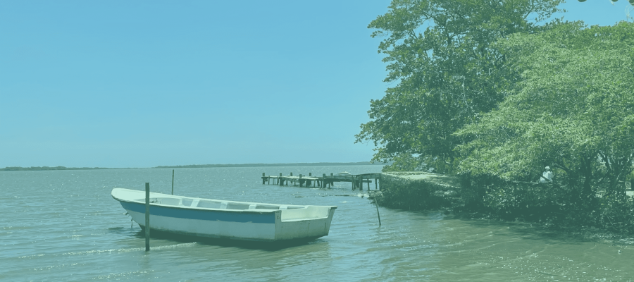 Mallorquin pagina web (764 × 511 px)