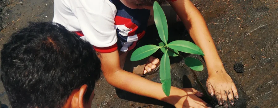 banner cambio climatico